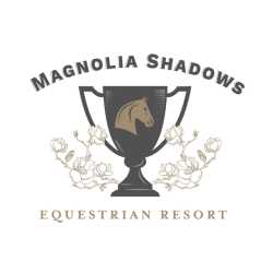 Magnolia Shadows
