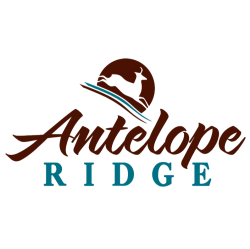 Antelope Ridge