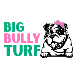 Big Bully Turf