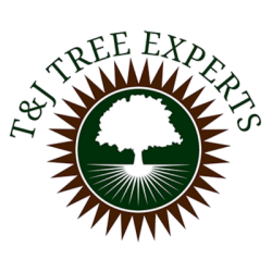 T&J Tree Experts
