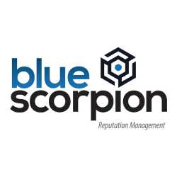 Blue Scorpion Reputation Management