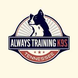 Always Training K9s