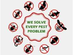 Best Known Pest Control