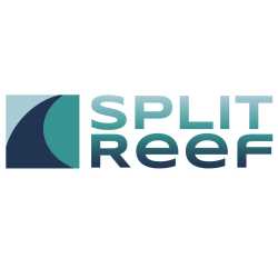 Split Reef: Columbus Web Design Company