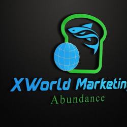 X World Studios