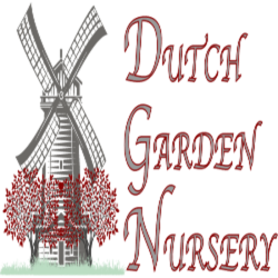 Dutch Garden Nursery Burkholder Greenhouse LLC