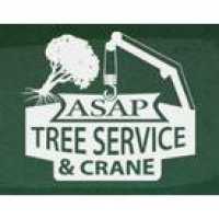ASAP Tree and Crane Services Logo