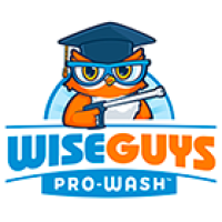 WiseGuys Pro-Wash Logo