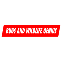 Bug and Wildlife Genius Logo