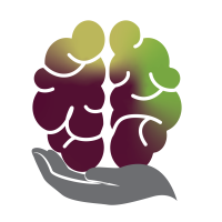 Brain Intercept Logo