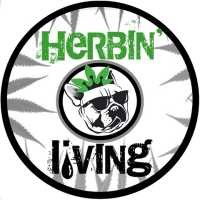 Herbin Living Smoke Shop, Kava Bar Logo