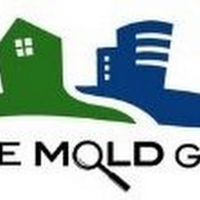 The Mold Guy Inc Logo