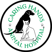 Caring Hands Animal Hospital - Clarendon Logo