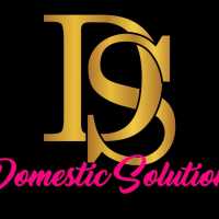 Domestic Solutions Logo