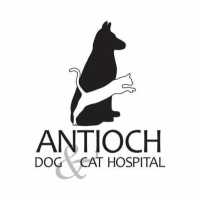 Antioch Dog and Cat Hospital Logo
