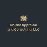 Nelson Appraisal and Consulting, LLC Logo