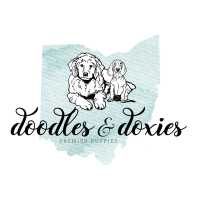 Doodles and Doxies Logo