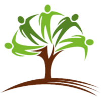 Branch Out Trees Logo