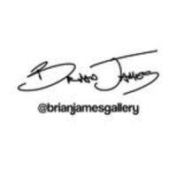 Brian James Gallery Photography Logo