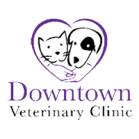 Downtown Veterinary Clinic Logo