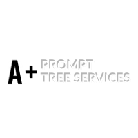 A + Prompt Tree Services Logo