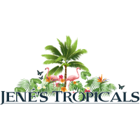 Jene's Nursery & Tropicals Logo