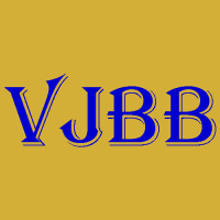 Vg Bail Bonds Logo