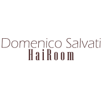 Domenico Salvati HaiRoom Logo