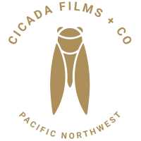 Cicada Films + Co. Logo