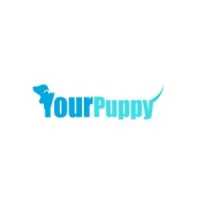 Your Puppy FL Logo