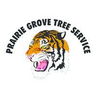 Prairie Grove Tree Service Logo