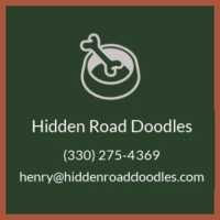 Hidden Road Doodles Logo