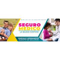 Mariale Insurance - Andale Seguro Logo