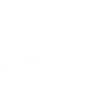 Vns International Inc Logo