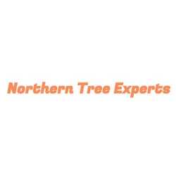 Northern Tree Experts