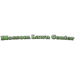 Blossom Lawn Center Inc