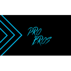Pro Bros LLC
