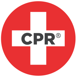 CPR Cell Phone Repair St Petersburg - 4th St