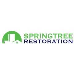 Springtree Restoration - Allen, TX