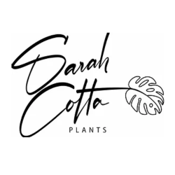 SarahCotta Plants