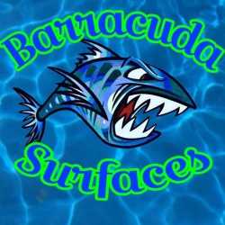 Barracuda Surfaces