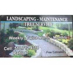 Pablo's Landscaping, Maintenance & Tree Service