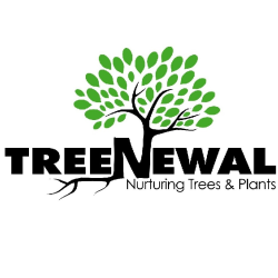 TreeNewal, Certified Arborist