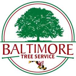 Baltimore Tree Service & Tree Removal Pros