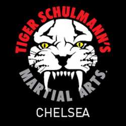 Tiger Schulmann's Martial Arts (Chelsea, NY)