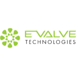E-Valve Technologies IT Services