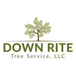 Down Rite Tree Service, LLC