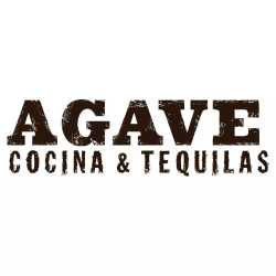Agave Cocina & Tequila | West Seattle