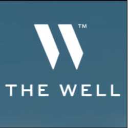 THE WELL New York