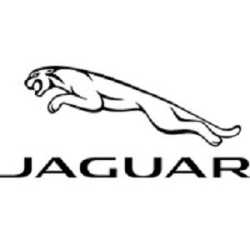 Jaguar Arrowhead